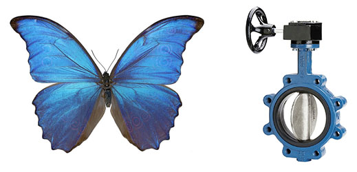 butterfly vs. butterfly valve