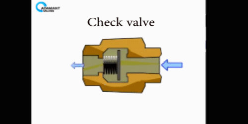 check valve2019