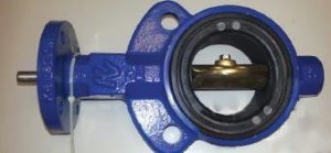 butterfly valve2